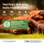 Wellness CORE Lamb Dry Dog Food 10kg + 2kg Free