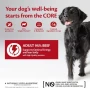 Wellness CORE Adult 95% Beef with Brocolli Grain Free Wet Dog Food - 6 x 400g