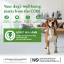 Wellness CORE Adult 95% Lamb with Pumpkin Grain Free Wet Dog Food - 6 x 400g