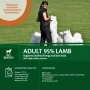 Wellness CORE Adult 95% Lamb with Pumpkin Grain Free Wet Dog Food - 6 x 400g