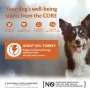 Wellness CORE Adult 95% Turkey with Kale Grain Free Wet Dog Food - 6 x 400g