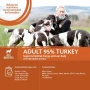 Wellness CORE Adult 95% Turkey with Kale Grain Free Wet Dog Food - 6 x 400g