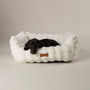 Scruffs My First Cloud Puppy & Kitten Box Bed Cream