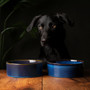 Scruffs Reactive Glaze Bowl Midnight Blue