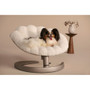 Tavo Shell Pet Bed Latte