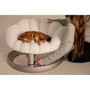 Tavo Shell Pet Bed Latte