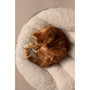 Tavo Shell Pet Bed Latte