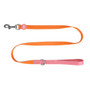 Little Ginger Two-Tone Lead Tutti-Fruity 120cm