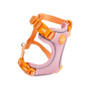 Little Ginger Small Pet Harness Tutti-Fruity