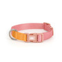 Little Ginger Two-Tone Collar Tutti-Fruity