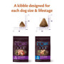 Wellness CORE Puppy Large Breed Chicken Grain Free Dry Dog Food - 2.75kg