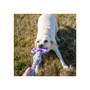 Ancol Playtime Ropey Paw