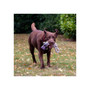 Ancol Playtime Ropey Knot for Dogs