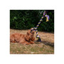 Ancol Playtime Tricoloured Jumbo Rope