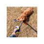 Ancol Playtime Tricoloured Jumbo Rope