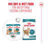 Royal Canin Cat Pouch Ageing 11+ Jelly