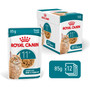 Royal Canin Cat Pouch Ageing 11+ Jelly