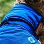 Ancol Cooling Vests for Dogs in 4 Sizes