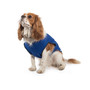 Ancol Cooling Vests for Dogs in 4 Sizes