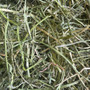 Hayday Coarse & Crunchy Alfafa Hay 1Kg - Rabbits Small Pets