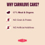 Carnilove Lamb & Wild Boar Dog Food - Can 400G