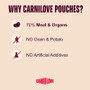 Carnilove Pouch Turkey & Pheasant With Raspberry Leaves 300G