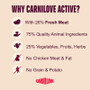 Carnilove Cat Active Lamb & Wild Boar 400G