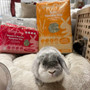 Hayday Tasty Timothy Hay 2.7Kg