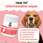 Buddycare Chlorhexidine Wipes 100 Pack