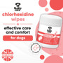 Buddycare Chlorhexidine Wipes 100 Pack