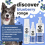 Buddycare Brightening Blueberry Shampoo 500ml