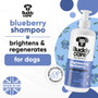 Buddycare Brightening Blueberry Shampoo 500ml