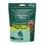 Natures Menu Functionals Digestive 40G  Dog Snacks - 55895