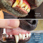 Lucca Probiotic Dental Care 100Ml for Cats & Dogs