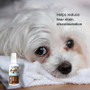 Lucca Probiotic Eye Care 100Ml for Cats & Dogs