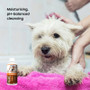 Lucaa Probiotic Shampoo 300Ml for Cats & Dogs