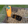 Go Forage Carrot Hay Feeder