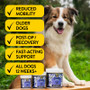 Proflax Mega Mobility 125g for Dogs
