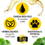 Proflax Kidney Care 100ml