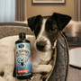 Proflax Omega Vital 100ml for Dogs