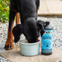 Proflax Calm & Collected 100ml for Dogs