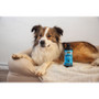 Proflax Calm & Collected 100ml for Dogs