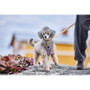 Hurtta Seeker Harness Lavender In Fours Sizes