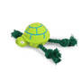 All For Paws Zootex Turtle