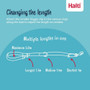Coa Halti Training Lead Blue in Two Sizes