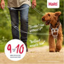 Coa Halti Training Lead Blue in Two Sizes