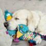 Animal Instincts Teal Tails Tim Mouse