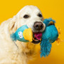 Animal Instincts Teal Tails Tom Duck