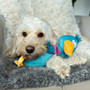 Animal Instincts Teal Tails Tom Duck