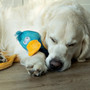 Animal Instincts Teal Tails Tom Duck